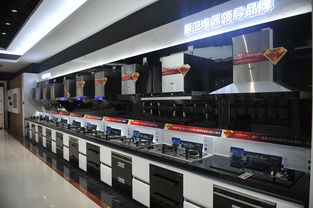 何止大吸力更乎大關(guān)懷 帥康引領(lǐng)家居品質(zhì)升級的技術(shù)開發(fā)之路