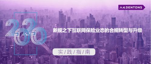 新規(guī)之下互聯(lián)網(wǎng)保險業(yè)態(tài)的合規(guī)轉(zhuǎn)型與升級丨大成 實踐指南 技術(shù)開發(fā)